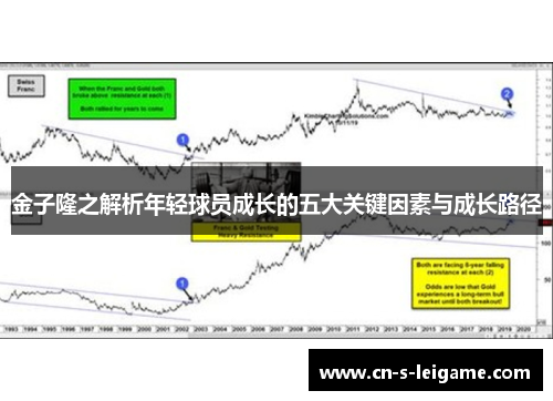 金子隆之解析年轻球员成长的五大关键因素与成长路径 金子隆之解析年轻球员成长的五大关键因素与成长路径